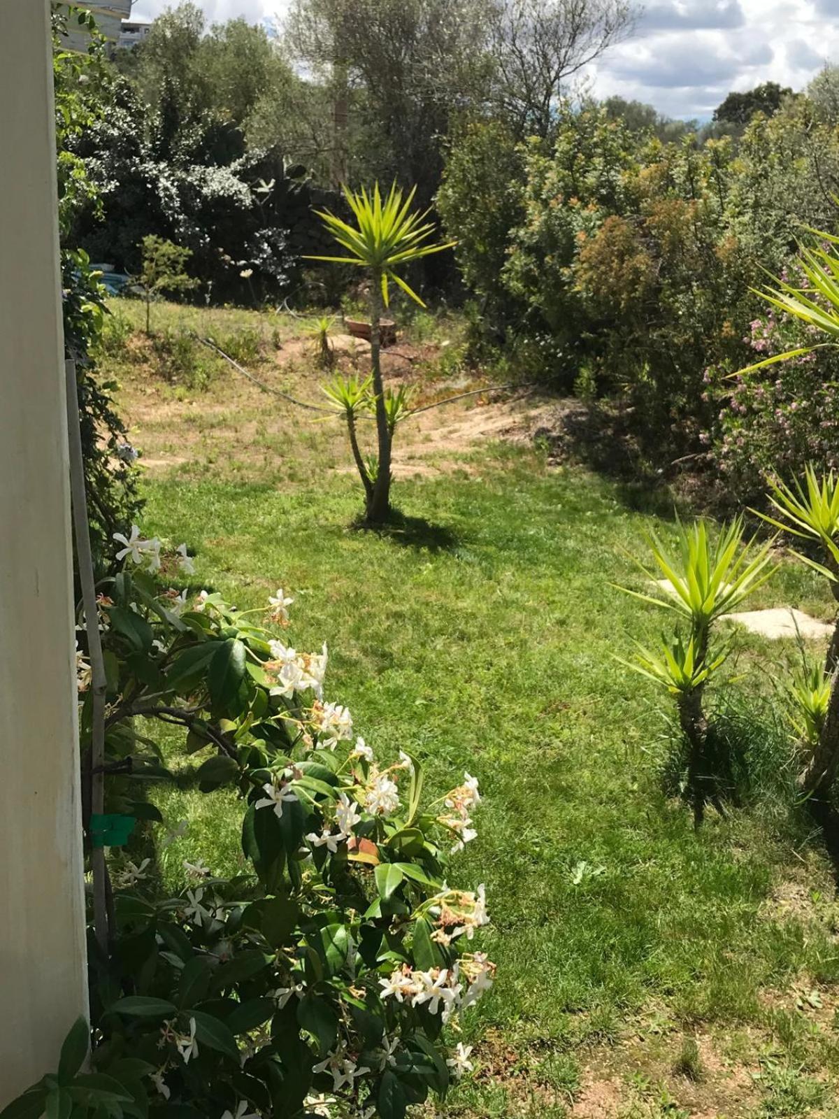 La Fragola In Campagna 6 K M Da San Pantaleo 호텔 외부 사진