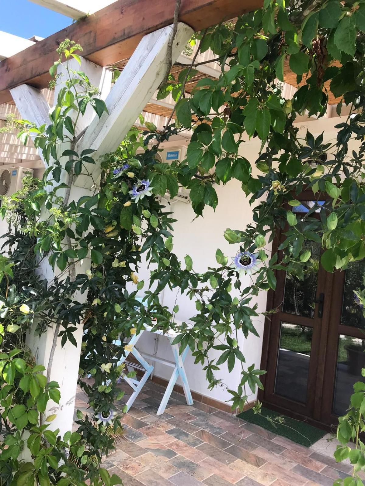 La Fragola In Campagna 6 K M Da San Pantaleo 호텔 외부 사진